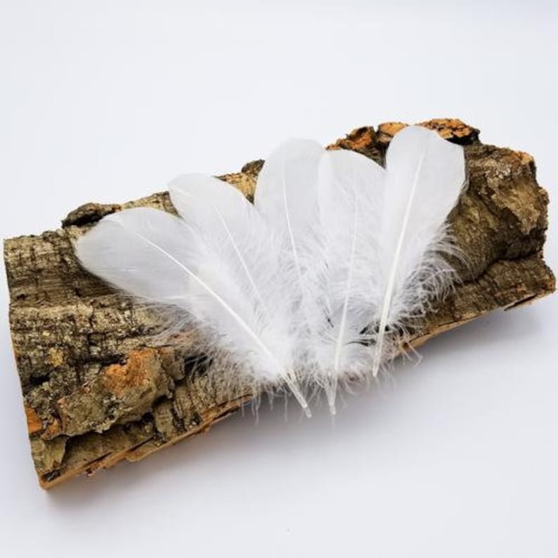 Sugar Glider Toy All Natural Goose Feathers 5 Count Sugar Etsy
