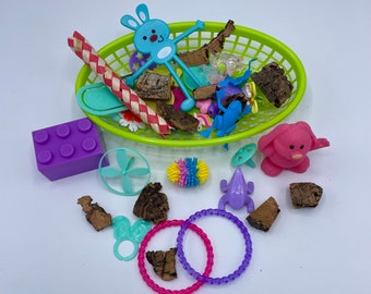 Easter Toy Box! Sugar Glider toy, Sugar Bear, Suggie, Pocket Pet, Bird, small animal, exotic animal, hedgehog