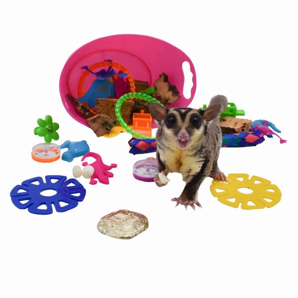 Deluxe Sugar Glider Toy Box Sugar Bear toy, Pocket Pet toy, Bird toy, small animal toy, exotic animal toy