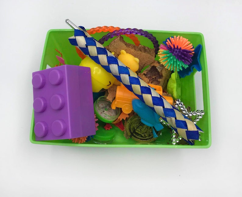 Deluxe Sugar Glider Toy Box Sugar Bear toy Pocket Pet toy Etsy