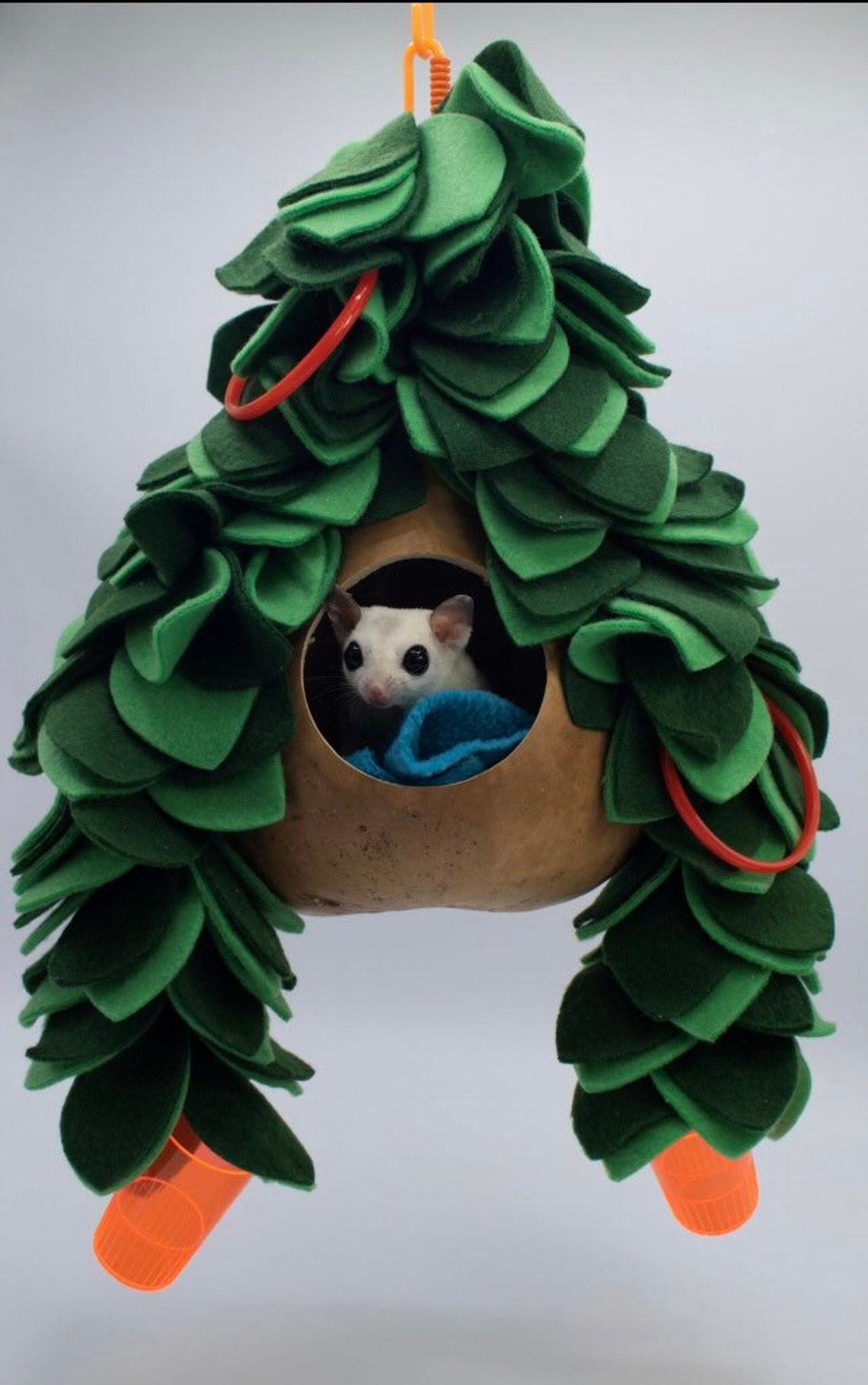 All Natural Sugar Glider Toy Hanging Gourd with Anti Pill Etsy
