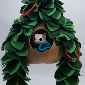 May include: A green felt playhouse for small pets, with a brown gourd-shaped base and orange plastic rings. A white sugar glider is peeking out of the opening.