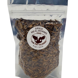 Dried Mealworms