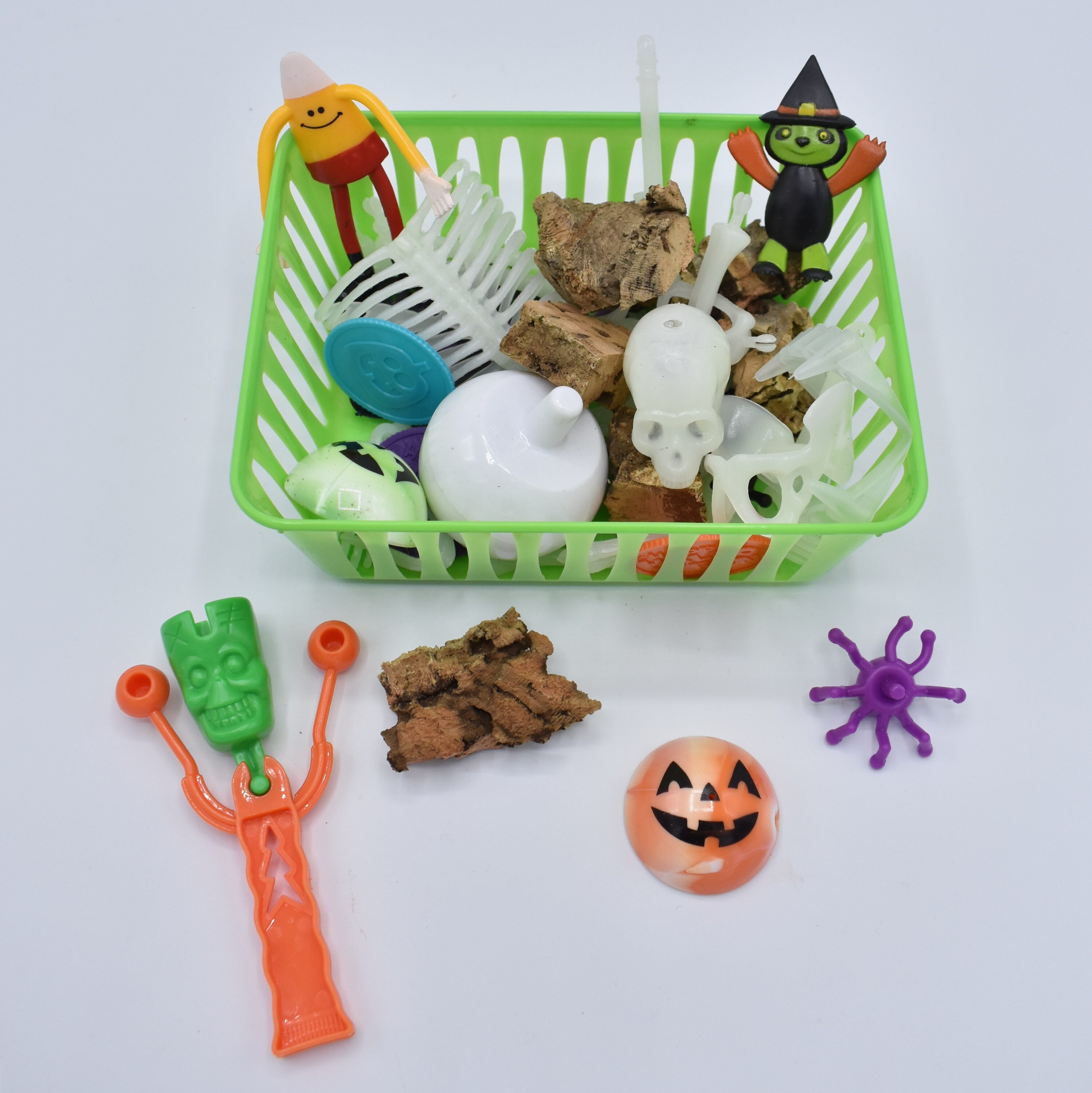 Halloween Toy Box! Sugar Glider toy, Sugar Bear, Suggie, Pocket Pet