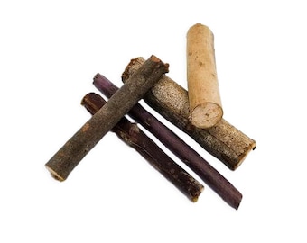 Eucalyptus Chew Sticks