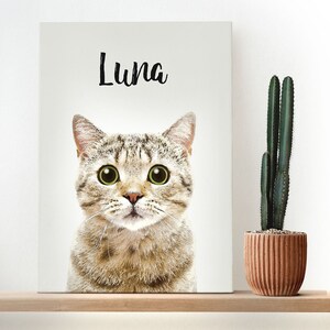 Custom Pet Portraits, Your Pet Photo turned into art, Personalized Digital Dog Portraits, Cat Portraits,  Custom Pet Art, Pet Drawing