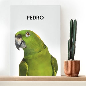 Custom Pet Portraits, Your Pet Photo turned into art, Personalized Digital bird Portraits, bird Portraits,  Custom Pet Art, Pet Drawing