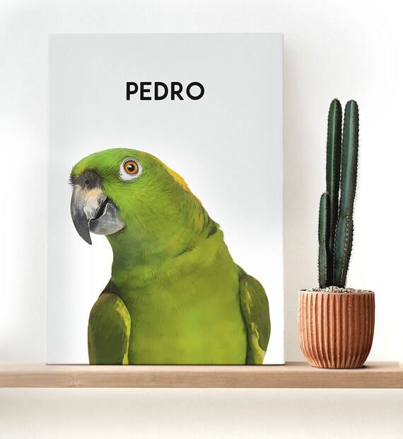 Custom Pet Portraits, Your Pet Photo turned into art, Personalized Digital bird Portraits, bird Portraits, Custom Pet Art, Pet Drawing Il_570xn