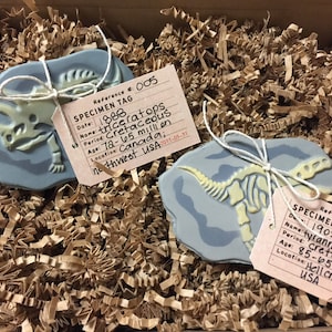 Dinosaur Dig Party, specimen tags, Dinosaur Birthday, Dino Skeleton and Bones - Archaeologist, Fossil, paleontologist, party favor