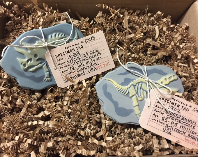 Dinosaur Dig Party, specimen tags, Dinosaur Birthday, Dino Skeleton and Bones - Archaeologist, Fossil, paleontologist, party favor