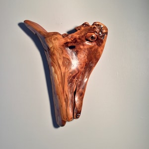 Driftwood Wall Sculpture
