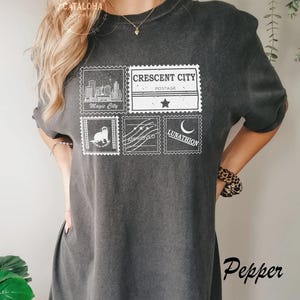 Crescent City Postal Service, House of Earth and Blood, Crescent city otter, Sarah J Maas, Crescent City shirt, Lunathion otter postal image 2