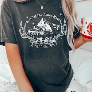 Comfort Colors, Only You Can Decide What Breaks You, Cursebreaker T-Shirt, ACOTAR, ACOMAF, Feyre, Velaris t-shirt, Bookish gift