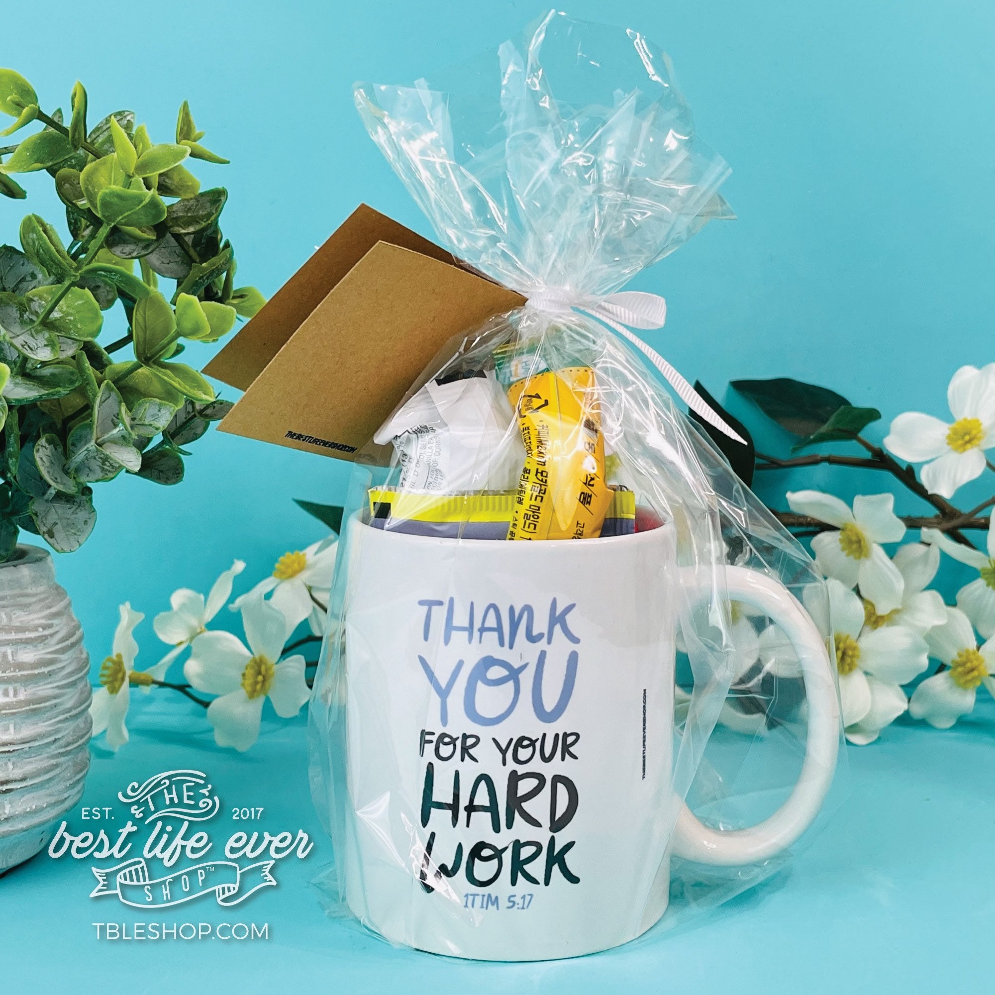 JW Pioneer Letter Writing Hug In A Mug Gift Set