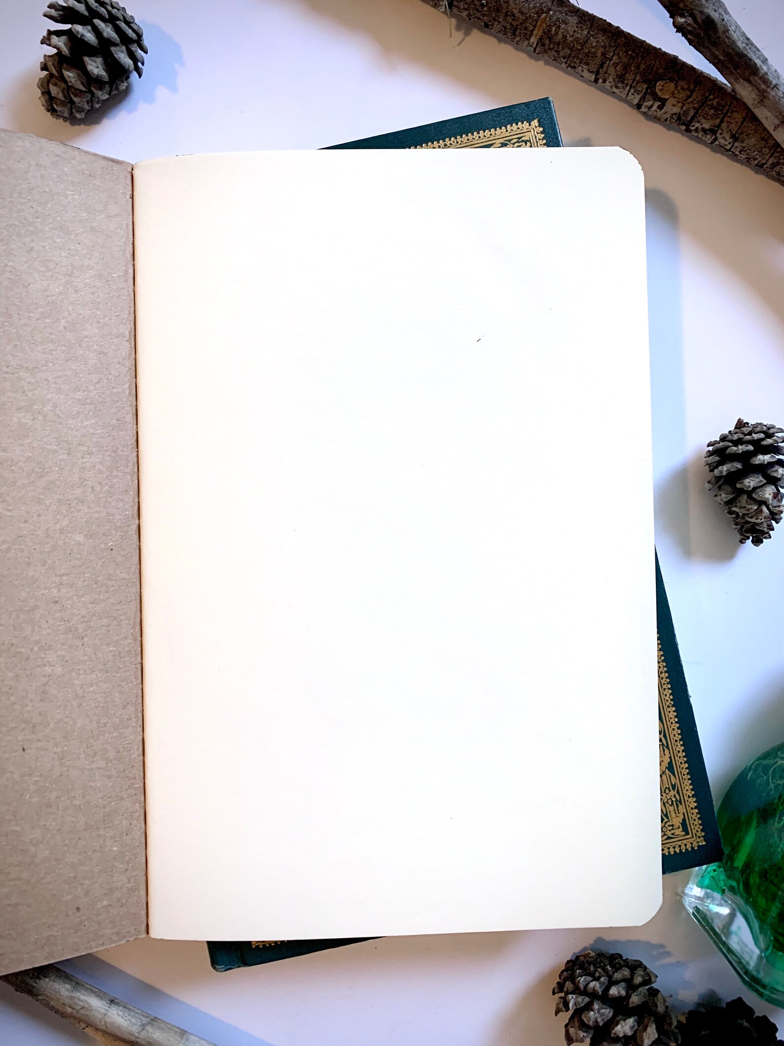 Guide to Herbology Notebook Magical Wizardry Notebook Etsy