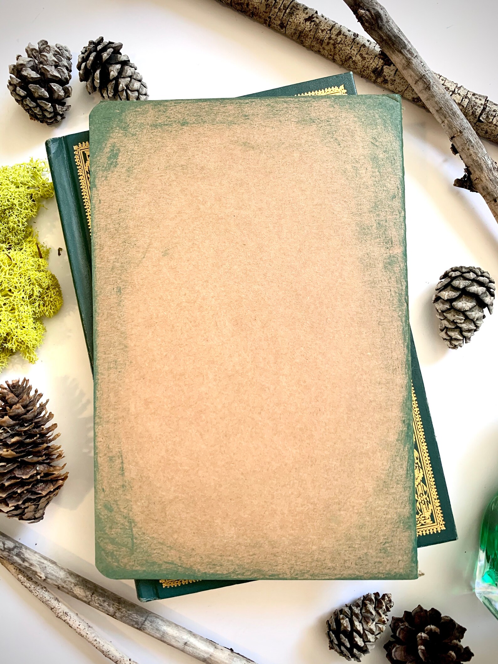 Guide to Herbology Notebook Magical Wizardry Notebook Etsy