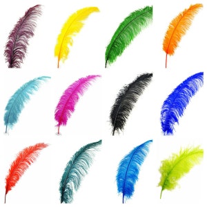 OSTRICH Feather SPADS 20-30" Narrow Plumes in 50+ Various Colors (for Wedding Centerpieces Floral Craft)