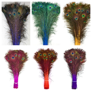 May include: A bunch of peacock feathers in various colors, including blue, green, red, orange, purple, and yellow. The feathers are arranged in a fan shape and have a natural, iridescent sheen.