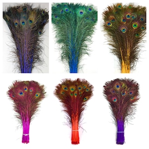 DYED PEACOCK Feathers 30-45" in Many Colors and Sizes (Wedding Centerpiece Party Floral Arrangments)