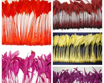 Stripped BURNT COQUE Feathers - Many Colors (6&quot;-10&quot; In Height) for Craft Millinery Costume Deisgn