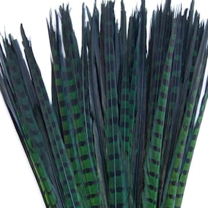 May include: A bunch of green and black pheasant feathers tied together at the base.