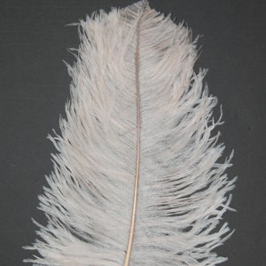 BONE Ostrich Feather Plumes 18-23&quot; for Halloween Costume Table Centerpieces Bridal Vase DIY