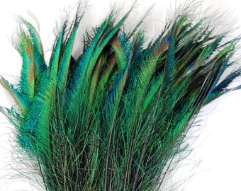 BLACK Peacock Swords 10-15” in Length for Halloween Costume DIY Craft Design Theater Mardi-Gras Home Decor Wedding Centerpiece Vase