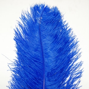 ROYAL BLUE Ostrich Feather Plumes 10&quot;-18&quot; for Centerpieces Craft Home Decor Design DIY