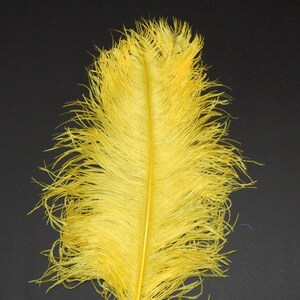 YELLOW Ostrich Feather Plumes 18-23&quot; for Halloween Costume Table Centerpieces Bridal Vase DIY