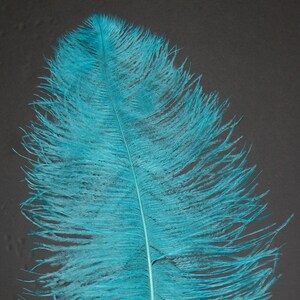 LIGHT TURQUOISE Ostrich Feather Plumes 10&quot;-18&quot; for Centerpieces Craft Home Decor Design DIY