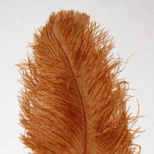 TOPAZ Ostrich Feather Plumes 18-23&quot; for Halloween Costume Table Centerpieces Bridal Vase DIY