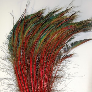 RED Peacock Schwerter 15-20 ”in der Länge für Halloween-Kostüm DIY Handwerk Design Theater Karneval Wohnkultur Hochzeit Herzstück Vase