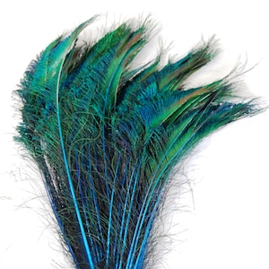 TURQUOISE Peacock Schwerter 15-20 ”in der Länge für Halloween-Kostüm DIY Handwerk Design Theater Karneval Wohnkultur Hochzeit Herzstück Vase