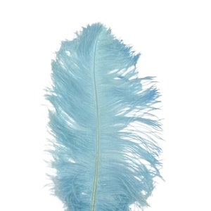 AQUA BLUE Ostrich Feather Plumes 23&quot;-30&quot; Full and Beautiful for Centerpieces Halloween Costume Vases Craft Theater Hats DIY
