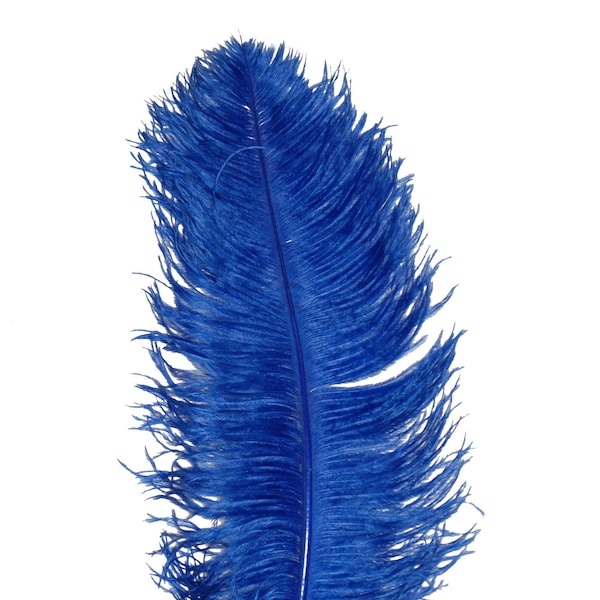 ROYAL BLUE Ostrich Feather Plumes 23"-30" Full and Beautiful for Centerpieces Halloween Costume Vases Craft Theater Hats DIY