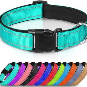 Adjustable Dog Collar with Matching Buckle – Solid Color Nylon Pet Collar for Boy or Girl – Durable Puppy or Dog Gift in All Sizes