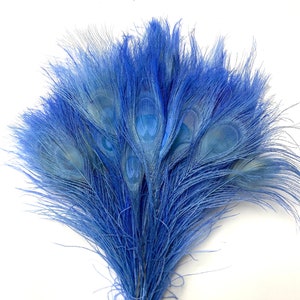 SKY BLUE Bleached Peacock 10-12&quot; Feathers for Costume Halloween Home Decor Vases Bridal Wedding Centerpieces Craft DIY
