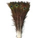 see more listings in the Peacock Feathers section