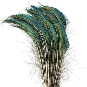 PFAU SCHWERTER Verschiedene Farben 15-20 ”Länge für Halloween-Kostüm Handwerk Design Theater Karneval Wohnkultur Hochzeit Herzstück