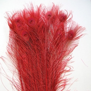 RED Bleached & Dyed PEACOCK Feathers 30&quot;-35&quot; for Costume Halloween Home Decor Vases Bridal Wedding Centerpieces Craft