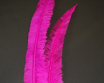 2 Pcs Ostrich Nandu Feather Plumes 20-30" HOT PINK