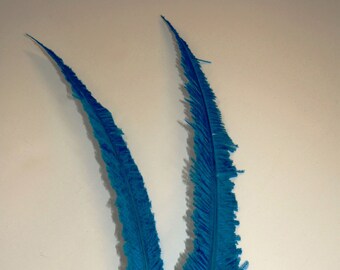 2 Pcs Ostrich Nandu Feather Plumes 20-30" TURQUOISE