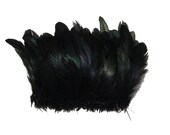 100 Pcs ROOSTER Coque Fringe - BLACK 4-6 quot Feathers (Trim Costume Craft Halloween)