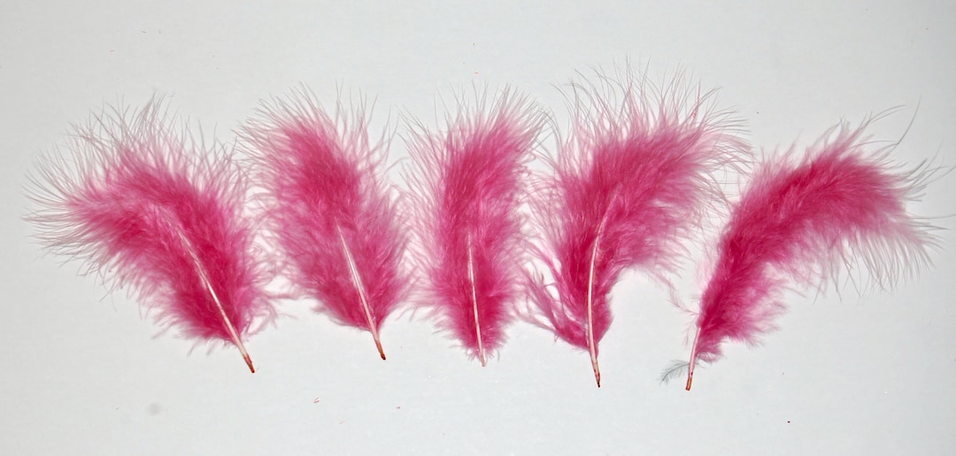 30 Pcs MARABOU PLUMAGE Feathers 2-5 Color : ROSE for - Etsy