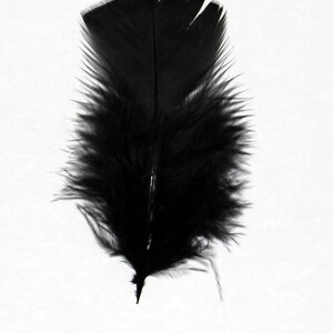 30 Pcs Turkey Plumage 14 Feathers BLACK for Craft Hats Halloween Costume Design Fun School Project image 3