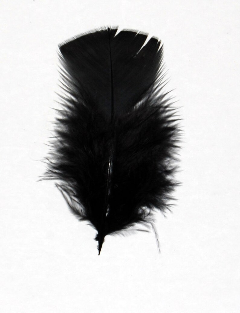 30 Pcs Turkey Plumage 14 Feathers BLACK for Craft Hats Halloween Costume Design Fun School Project image 3