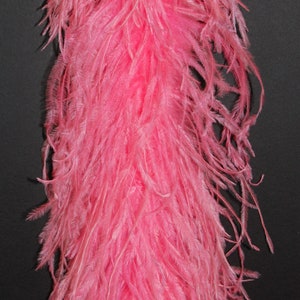 May include: A long strand of pink ostrich feathers. The feathers are soft and fluffy, and they are perfect for adding a touch of elegance to any project.
