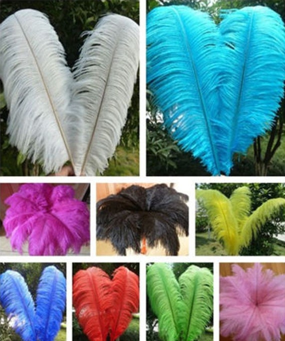  10 plumas de avestruz de colores para manualidades, decoración de  plumas de avestruz grande blanca, decoración de fiesta de boda, azul, 18-20  pulgadas : Arte y Manualidades