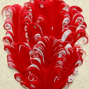 May include: A cluster of red and white feathers with curled tips. The feathers are arranged in a fan shape, with the red feathers on the outside and the white feathers on the inside.