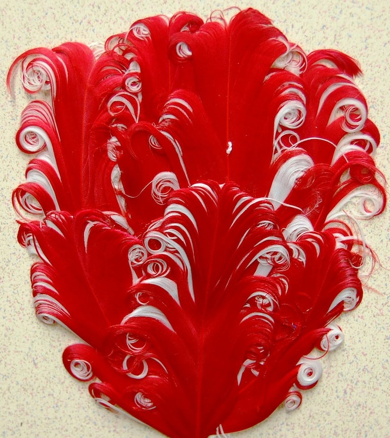 May include: A cluster of red and white feathers with curled tips. The feathers are arranged in a fan shape, with the red feathers on the outside and the white feathers on the inside.